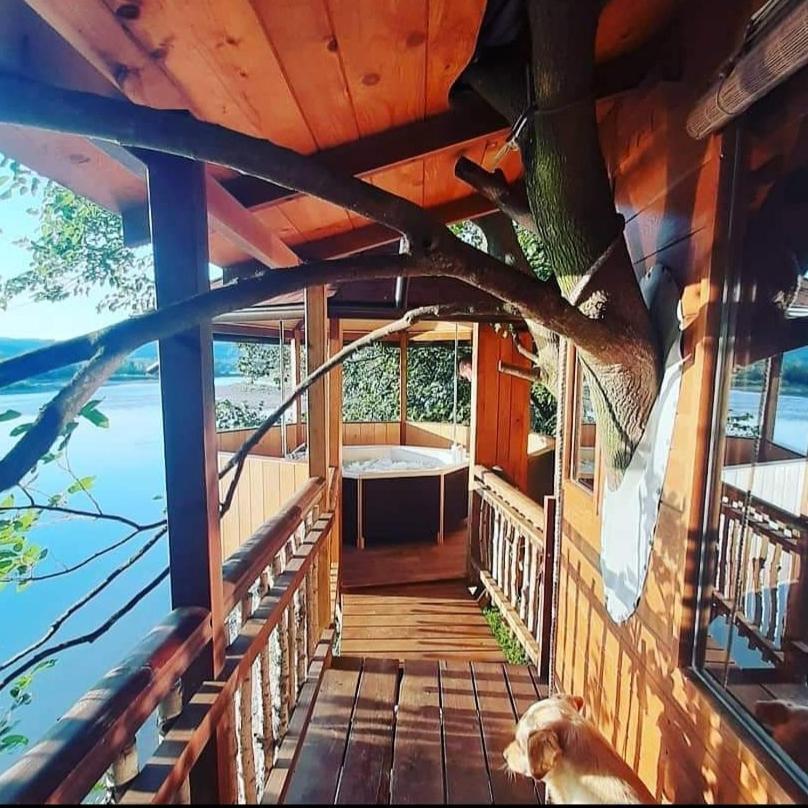 Holiday Home Kucica Na Drvetu Banja Koviljača Εξωτερικό φωτογραφία