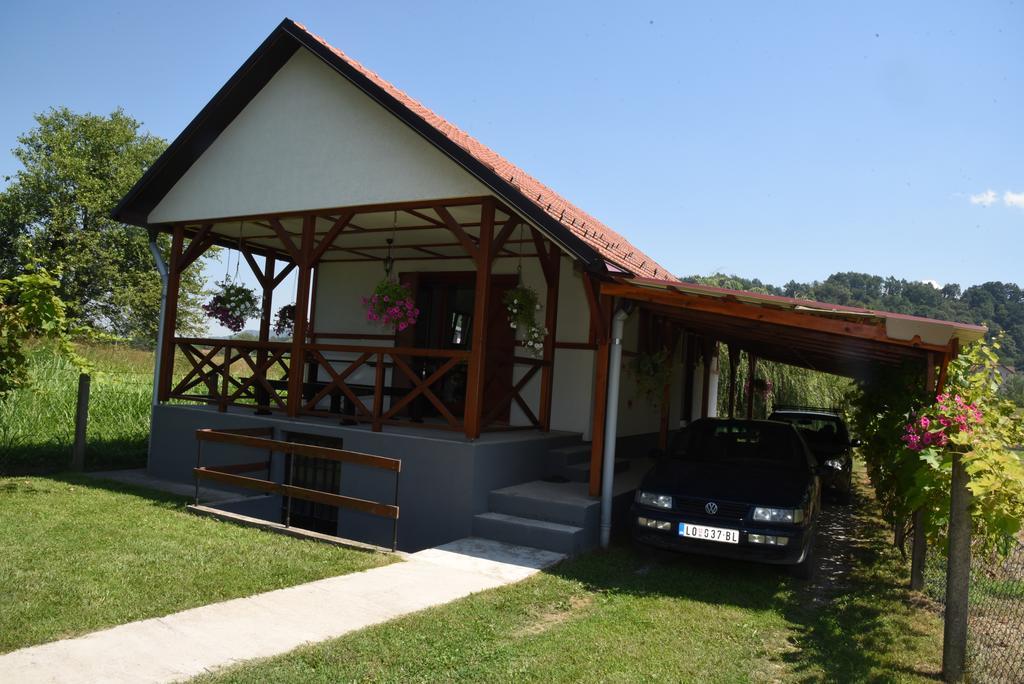 Holiday Home Kucica Na Drvetu Banja Koviljača Εξωτερικό φωτογραφία